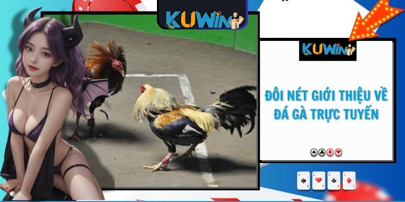 Đôi nét giới thiệu về đá gà trực tuyến