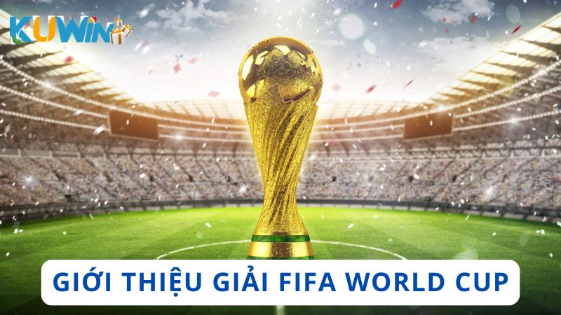 Giới thiệu tổng quan về giải FIFA World Cup