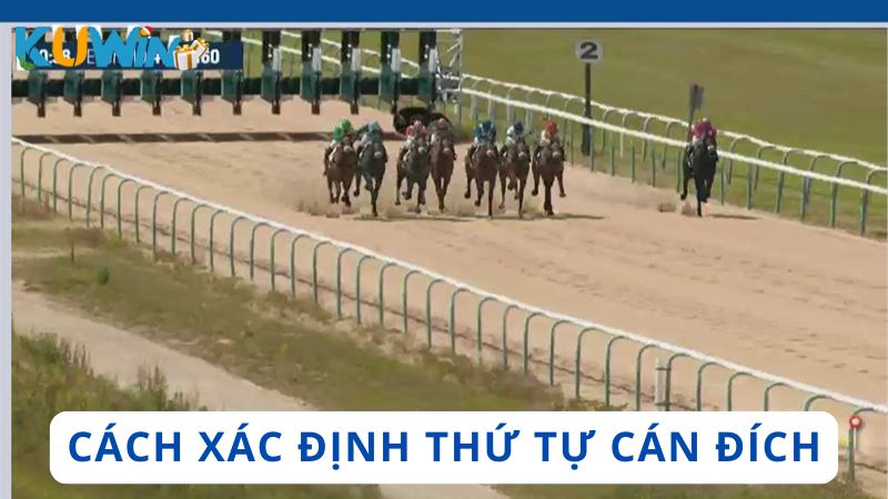 Cách nhà phát hành xác định thứ tự cán đích của chiến mã