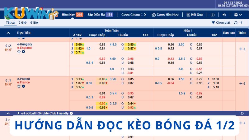 Hướng dẫn cách đọc kèo bóng đá 1/2 dễ hiểu