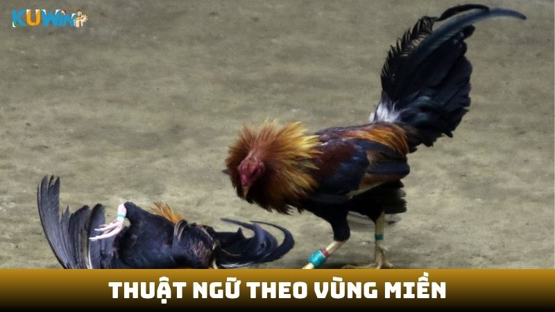 Thuật ngữ theo vùng miền