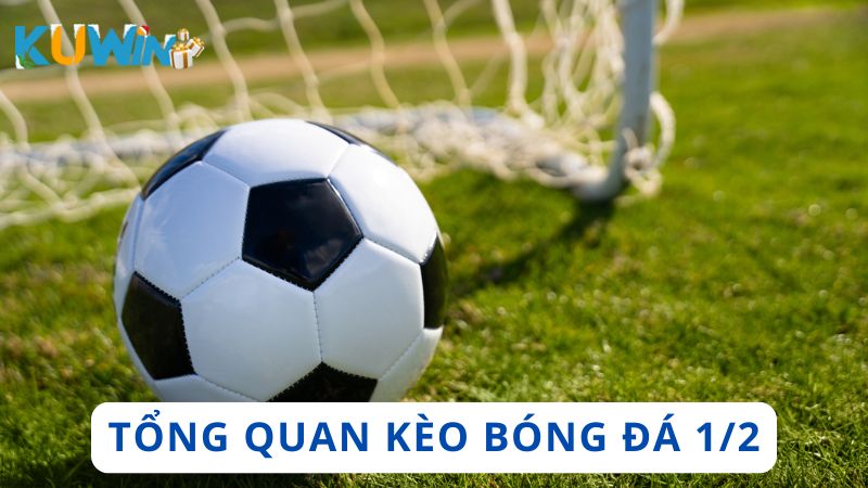 Tổng quan về kèo bóng đá 1/2
