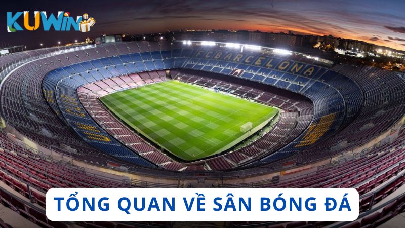 Tổng quan về sân bóng đá chuyên nghiệp